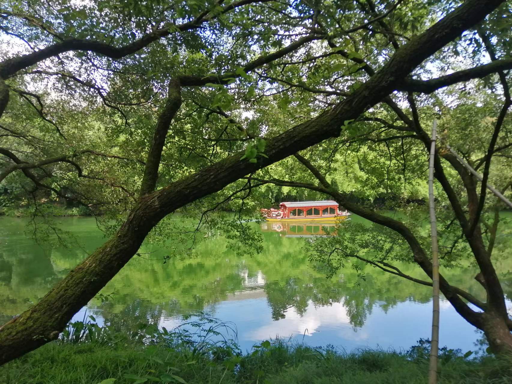 個人所得稅正確申報，避免對申報戶籍的員工造成影響